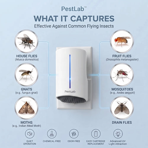 PestLab™ Flying Insect Trap - No More Flying Insects At Home